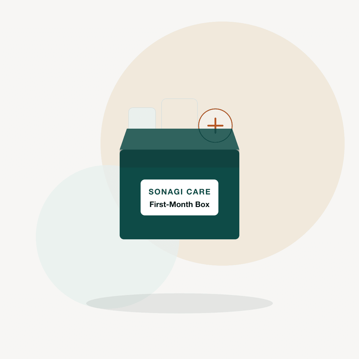 Caregiver first-month essentials box