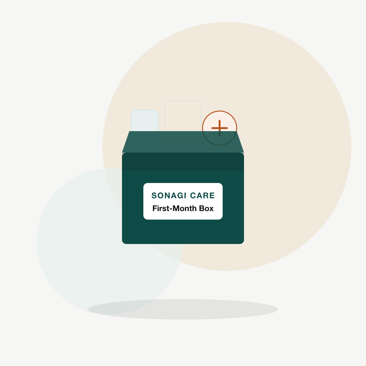 Caregiver first-month essentials box